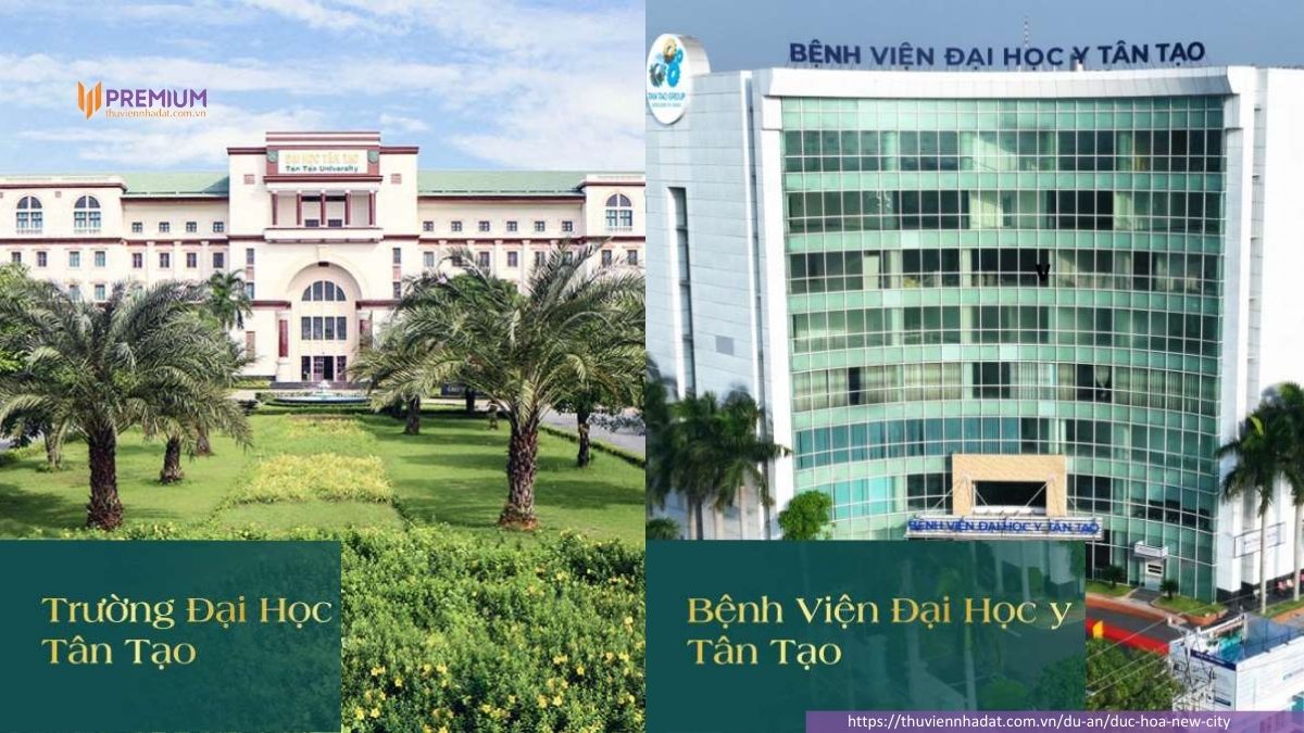 Tiện ích ngoại khu Đất nền Đức Hòa New City Long An