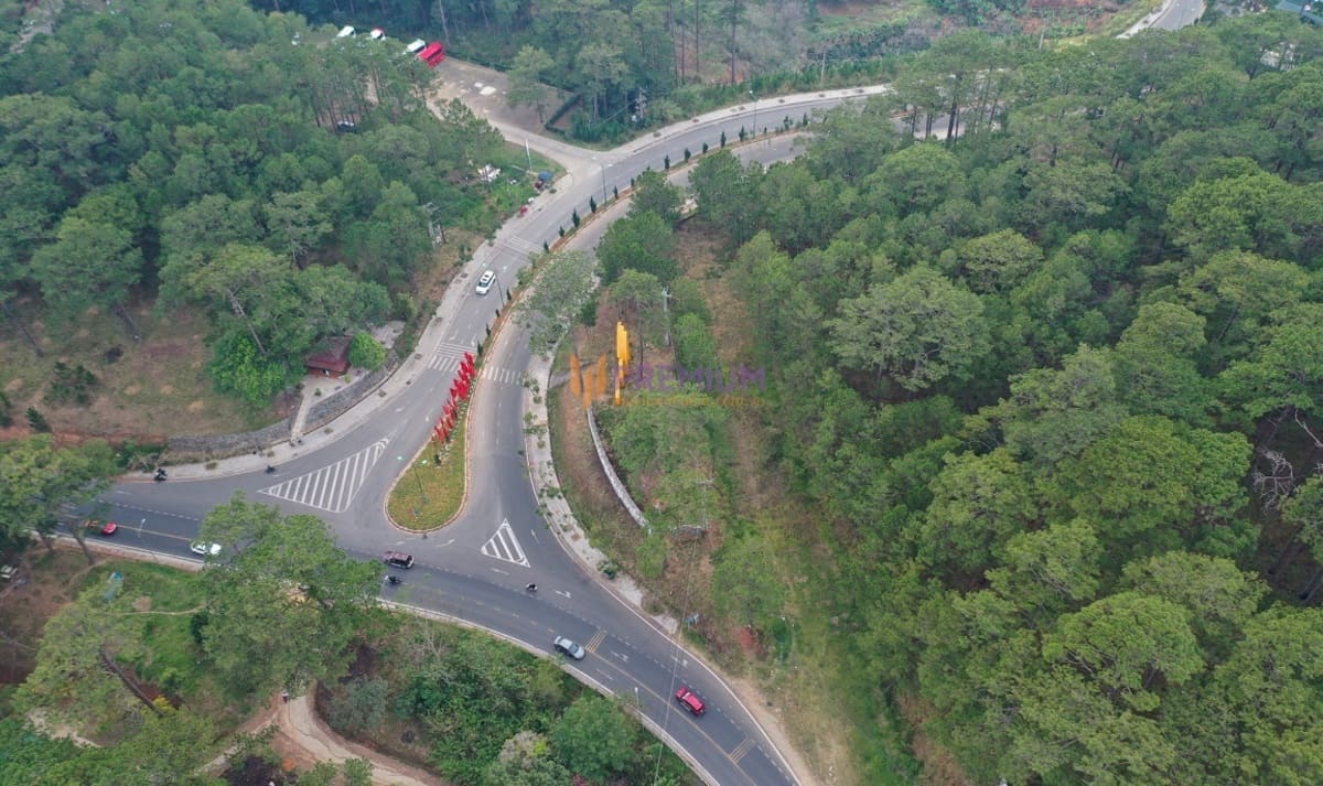 Cao tốc Tân Phú - Bảo Lộc và Bảo Lộc - Liên Khương khởi công trong năm 2024